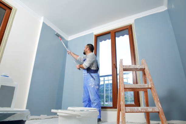 Trusted Adamstown, MD Mold Removal Experts